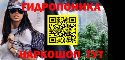 мдпв Боровичи