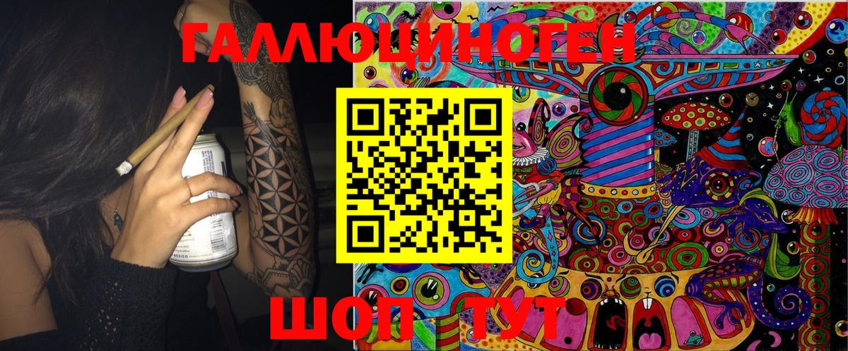 Псилоцибиновые грибы Psilocybe Нерюнгри