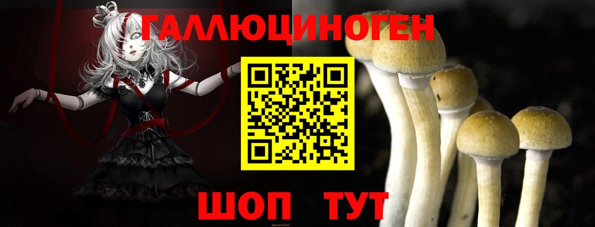 Нерюнгри  закладка  Вход с VPN  Галлюциногенные грибы Cubensis 
